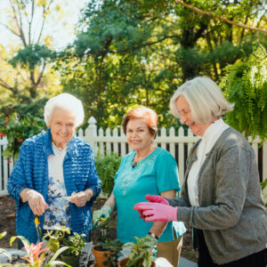 preventing senior isolation