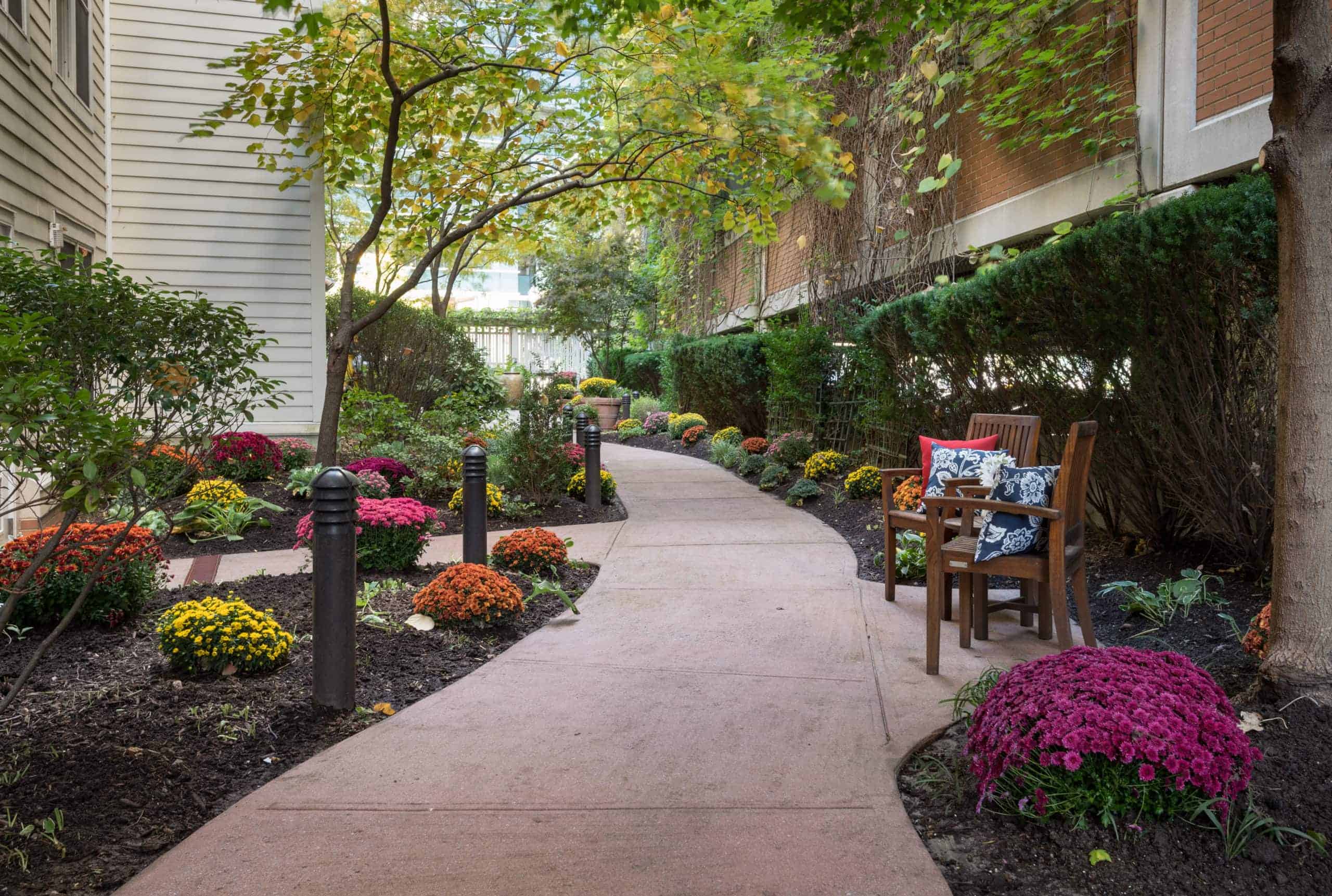 walkway with flower garden