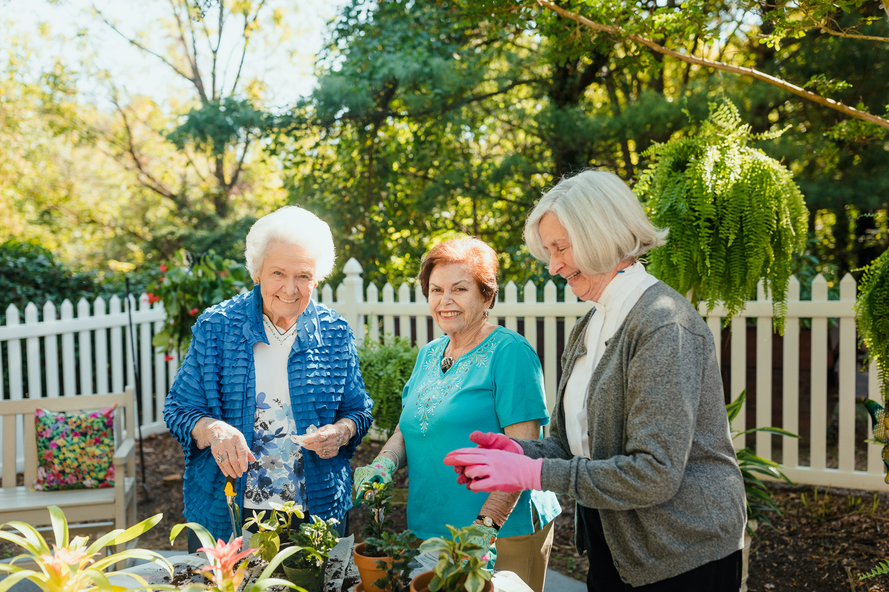 preventing senior isolation