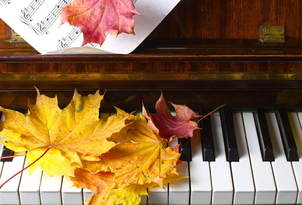green, yellow, red leaves lie on piano keys